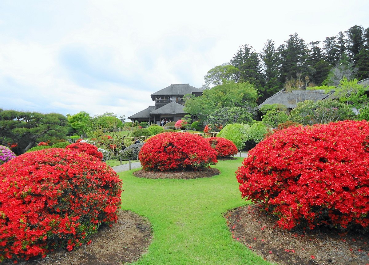 🏞️ 분쿄구립 레키센 공원 (Rekisen Park) 이미지 1